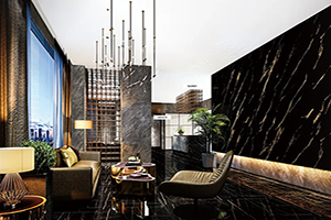 Ang Pangulo nga Sumbanan sa Marble PVC / PET