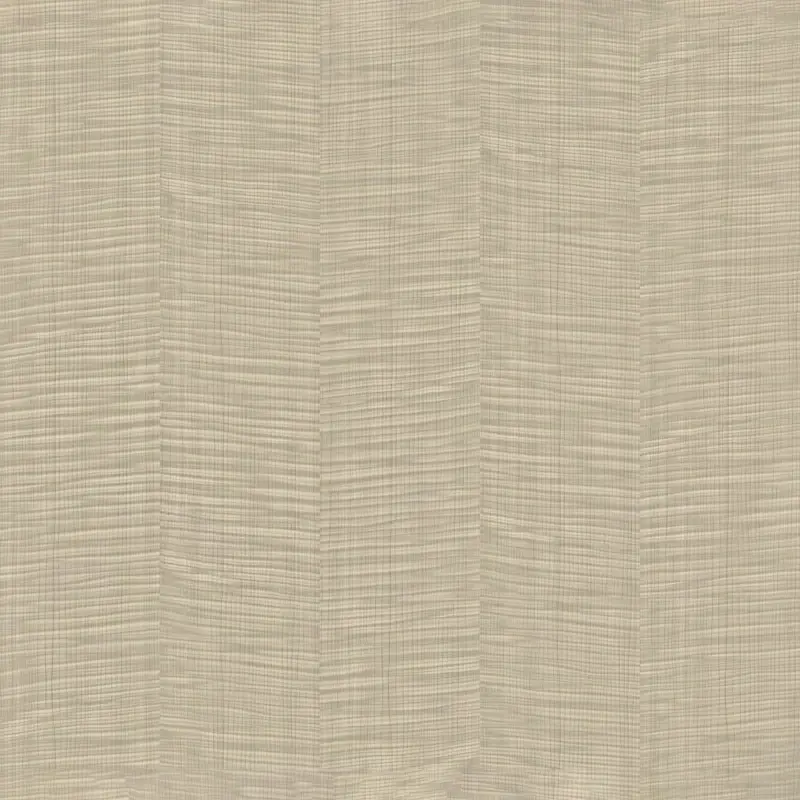 Ang Pangulo nga Mga Film sa Pang-alyansa sa Kalag sa Kahayag